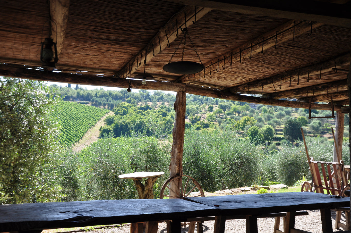 Degustazione Vini Classici - Cantina Poggio San Polo