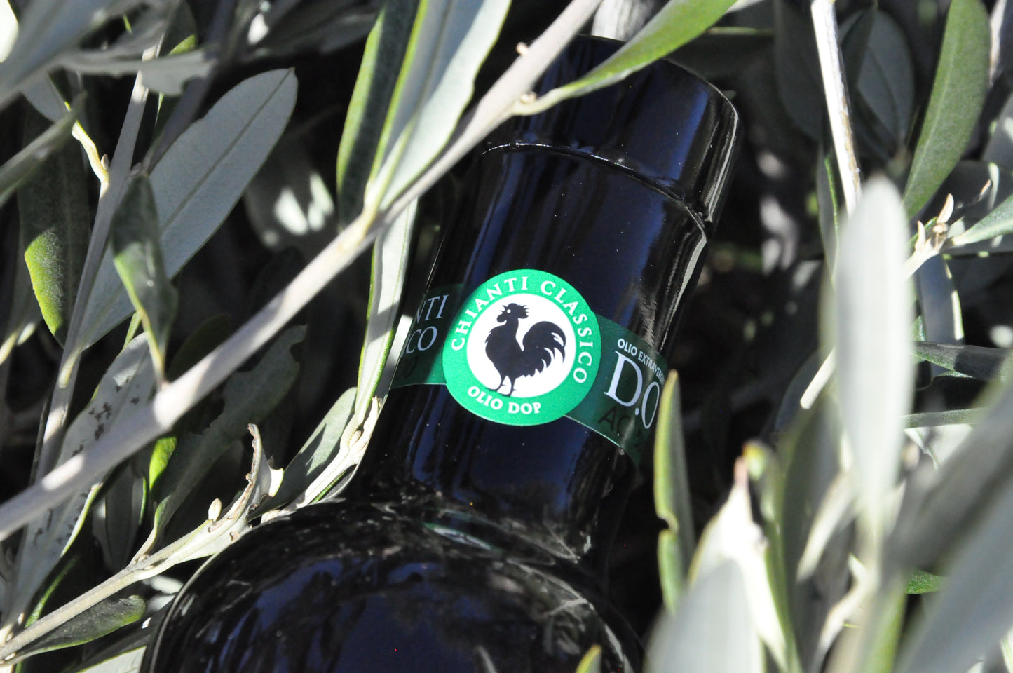 Chianti Classico DOP Extra-Virgin Olive Oil