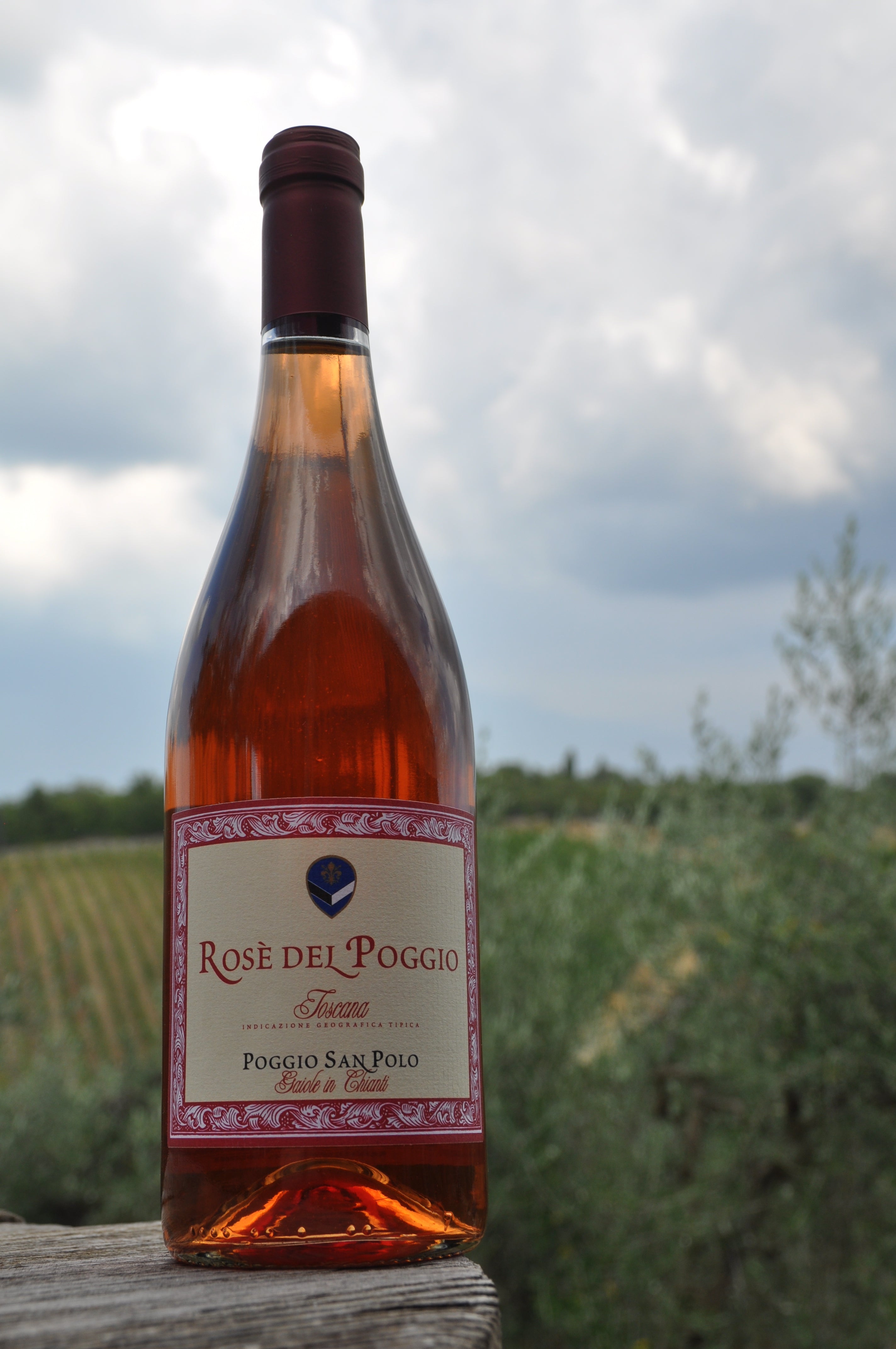 poggio san polo winery chianti classico best  book wineries winery near me olive oil fine wine shop tasting degustazione tuscany 