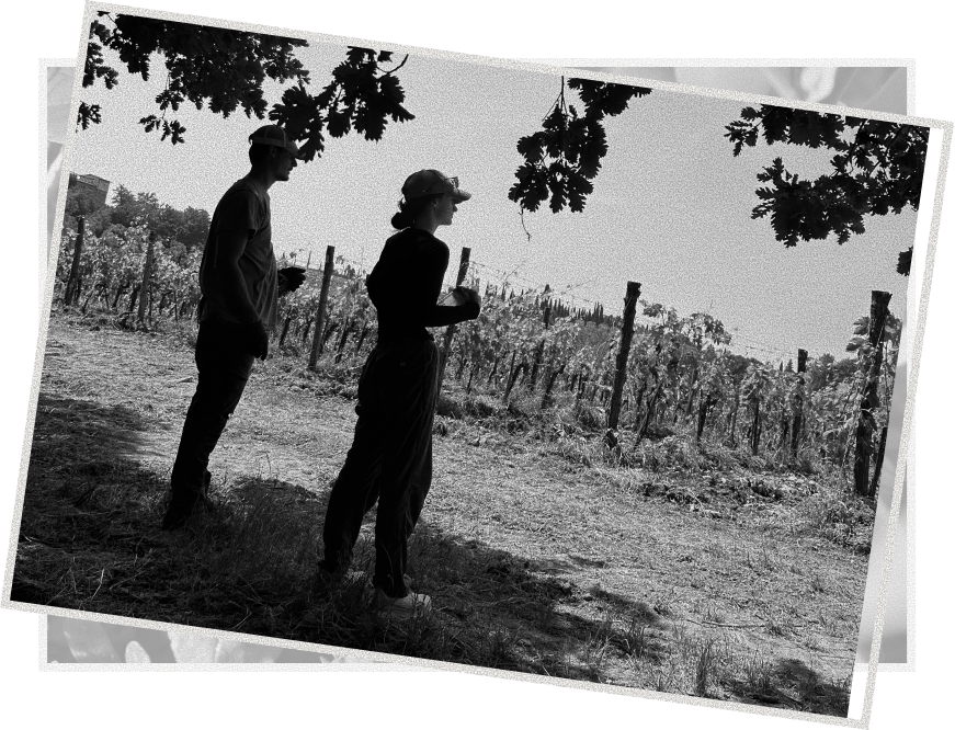 A new vision was on the horizon. Guided by Lorenzo Lapis, Ascanio and Alma's grandson, the future of Poggio San Polo began taking shape and would be rooted in respect for the land and the courage to think beyond.