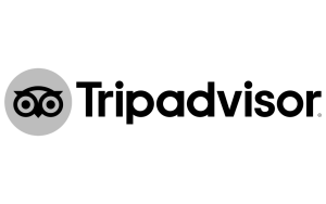 Partner 5